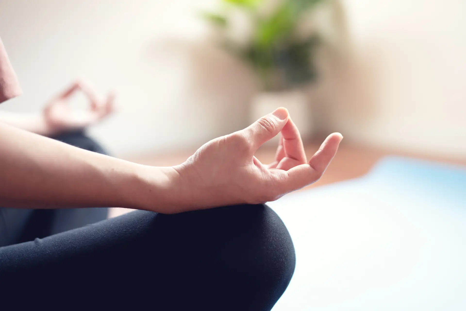 O que é Mindful Eating e como aplicar na sua vida?